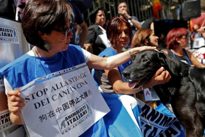 Animal activists hold banners reading yulin Festival