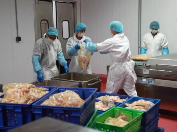 Workers work in a meat processing plant in Doha, Qatar Qatar