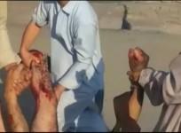 Video Shows Aftermath Deadly Market Blasts in City of Parachinar