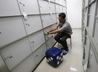 Bank lockers