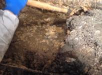 Northern Ireland Water work to remove massive fatberg from Belfast sewer