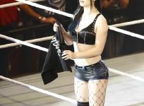 paige, wwe, alberto del rio