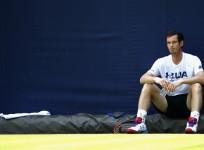 Andy Murray, Andy Murray news, Wimbledon 2017, tennis, tennis news, Roger Federer, Rafael Nadal