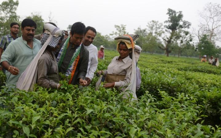 Former Indian football team captain and Trinamool Congress party candidate for the Darjeeling constituency, Baichung Bhutia (C) gestures as he interects with female tea garden workers during a election campaign rally at Sukna Tea Garden, on the outskirts of Siliguri on April 4, 2014. tea, gjm strike, gorkhaland, sikkim, tea estates of darjeeling, darjeeling, tea production in india
