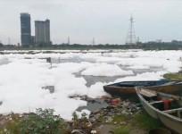 Video shows toxic foam floating on Yamuna river