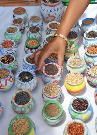 india, commodities exchange, nmce icex merger