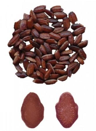 purple rice, health, antioxidants,cardiovascular health, diabetes, fiber,