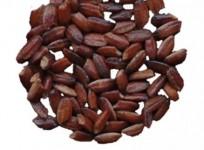 purple rice, health, antioxidants,cardiovascular health, diabetes, fiber,