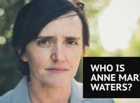 Who is Anne Marie Waters, the anti-Islam campaigner hoping to be the next Ukip leader?