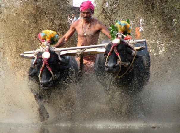 President approves Kambala