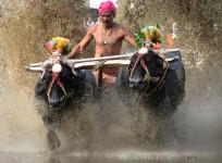 President approves Kambala