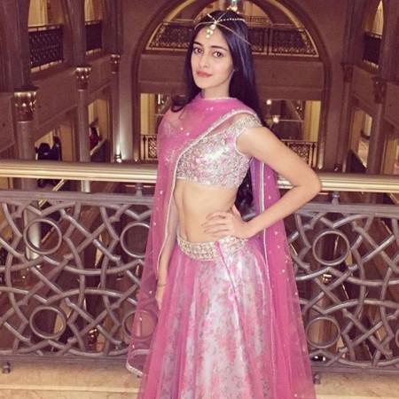 Ananya Pandey Who is Ananya Pandey?