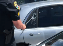 Florida police break a window to rescue dog trapped in a hot car