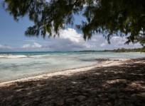 Tikehau Island