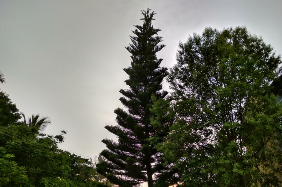 Xiaomi Redmi 4 camera review taken during late evening in Bengaluru, India with dark clouds in the background Xiaomi, Redmi 4, review, design, performance, camera, battery, verdict