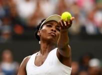Venus Williams, Wimbledon, semifinals, Venus Williams vs Johanna Konta
