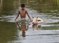 Assam Floods