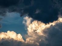 mass extinction, nature, environment,