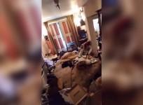 Is this New Yorks dirtiest apartment?
