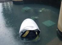 Security robot falls into a fountain in Washington DC