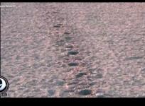 alien, footprints,