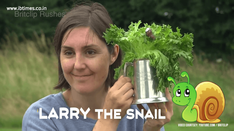 'Larry The Snail' wins World Snail Racing Championships, 2017 [VIRAL ...