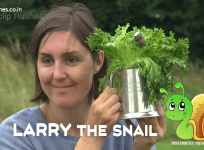 World Snail Racing Championship 2017