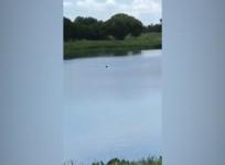 Florida teens laugh, taunt and film disabled man as he drowns in lake