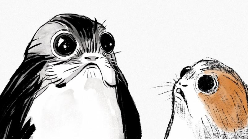 The adorable new creature from Star Wars The Last Jedi called Porgs. Star Wars
