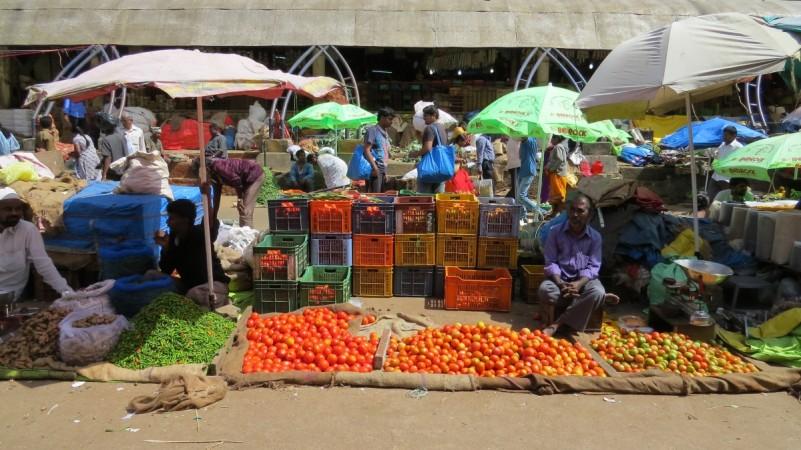 (Representational Image) tomato market