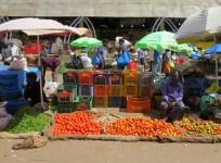tomato market