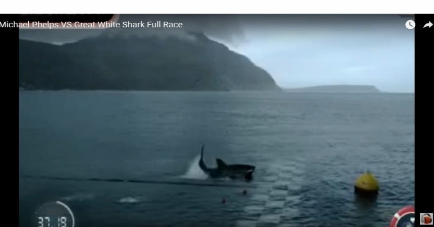 Phelps vs Shark, Discovery channel