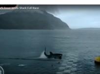 Phelps vs Shark, Discovery channel
