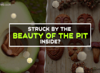 Avocado pit creations hard to believe
