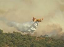 Massive fires destroy forests in southern France and Corsica