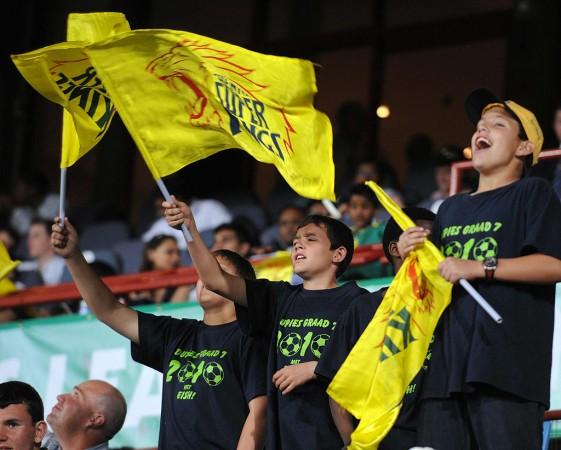 Representative image Chennai Super Kings fans