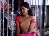 Bindu Madhavi