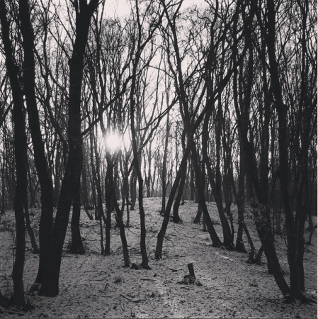 Hoia Forest Hoia Forest