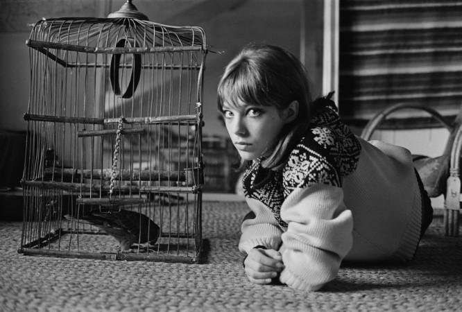 English actress and singer Jane Birkin, 1964. Actress Jane Birkin