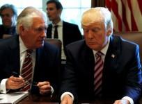 Tillerson comfortable working with Trump: We have a good relationship