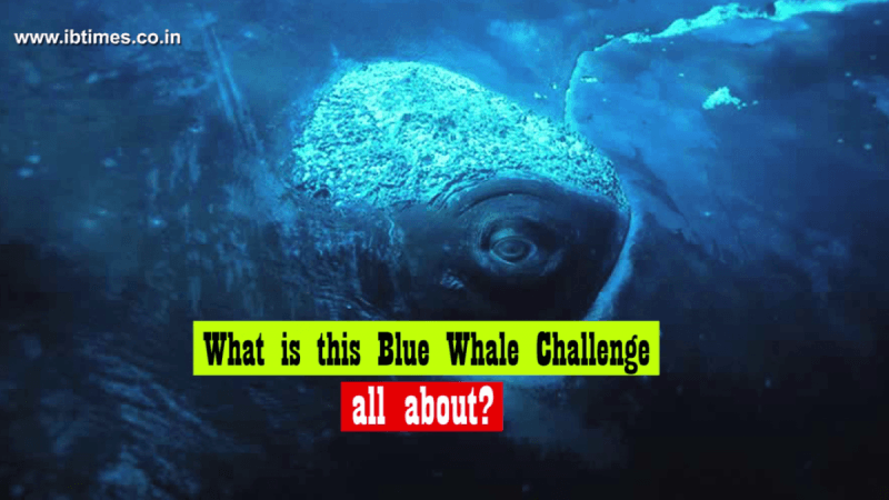 Blue Whale Challenge