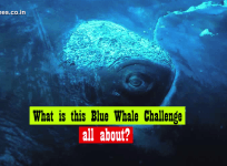 Blue Whale Challenge