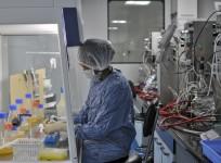 biocon form 483, biocon observations by us fda, biocon share price, biocon chief kiran mazumdar shaw