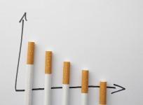 Cigarette life graph