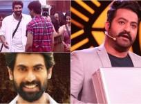 Rana Daggubati on Bigg Boss Telugu