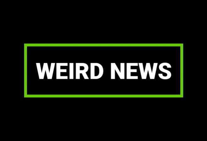 Weird news