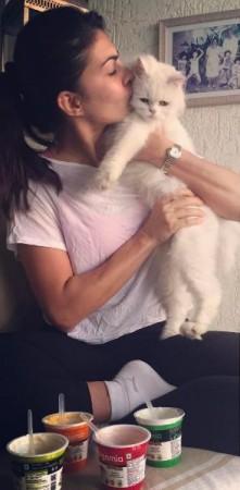 Jacqueline Fernandez Jacqueline Fernandez