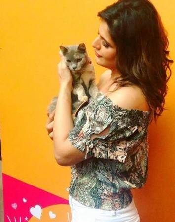 Zareen Khan Zareen Khan