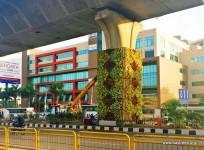 Bangalore, vertical garden, metro pillar