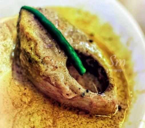 Hilsa fish Hilsa fish